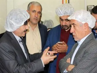 کهگیلویه و بویراحمد نخستین تولیدکننده نان حجیم بلوط در خاورمیانه