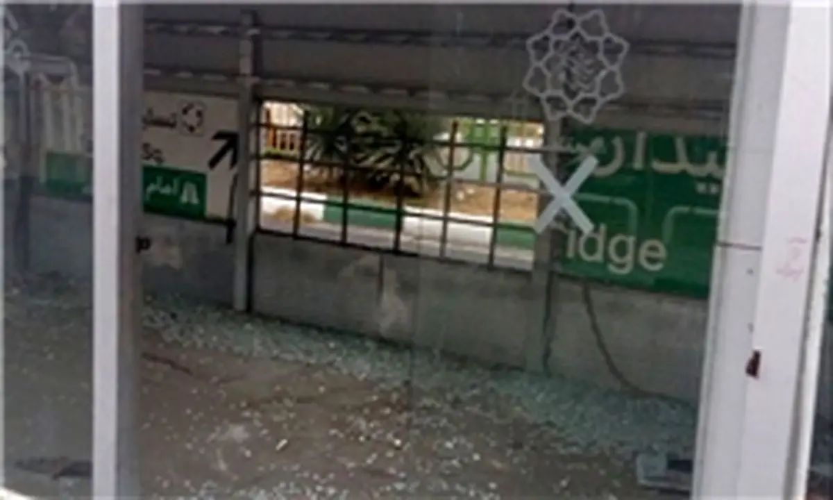 خانه دوچرخه ای که خانه گربه ها شده است!+ عکس