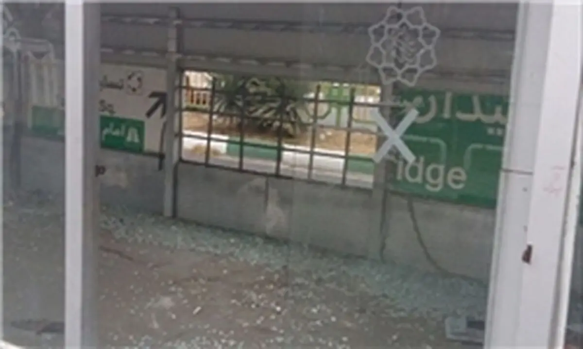 خانه دوچرخه ای که خانه گربه ها شده است!+ عکس