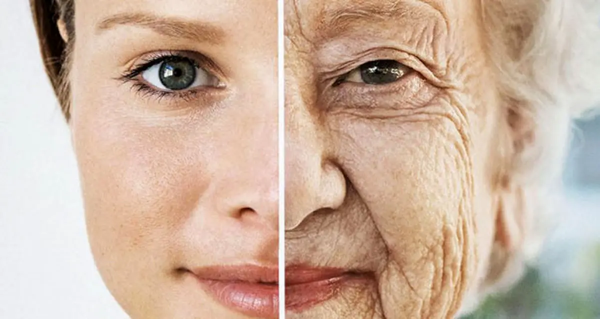 وقتی سلولهای بدن یک روزه پیر میشوند!