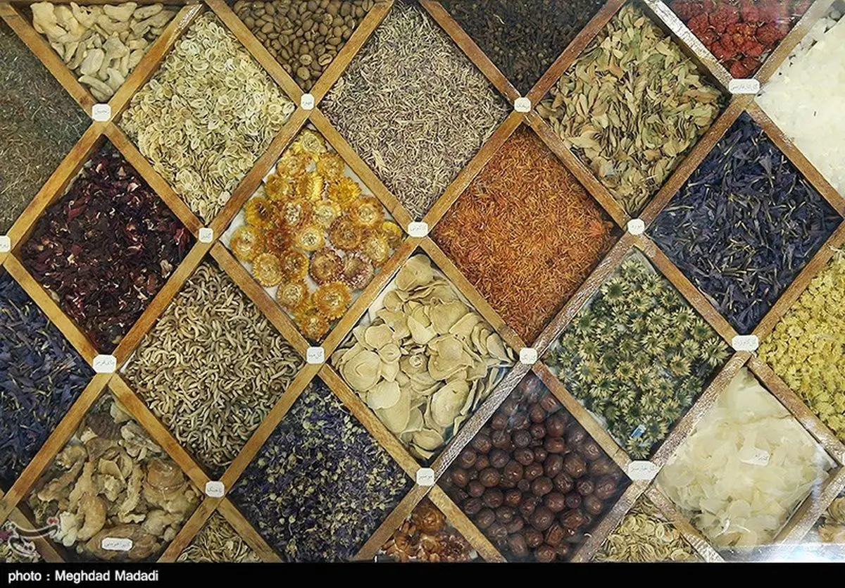  نخستین نمایشگاه گیاهان دارویی در استان قزوین افتتاح شد 