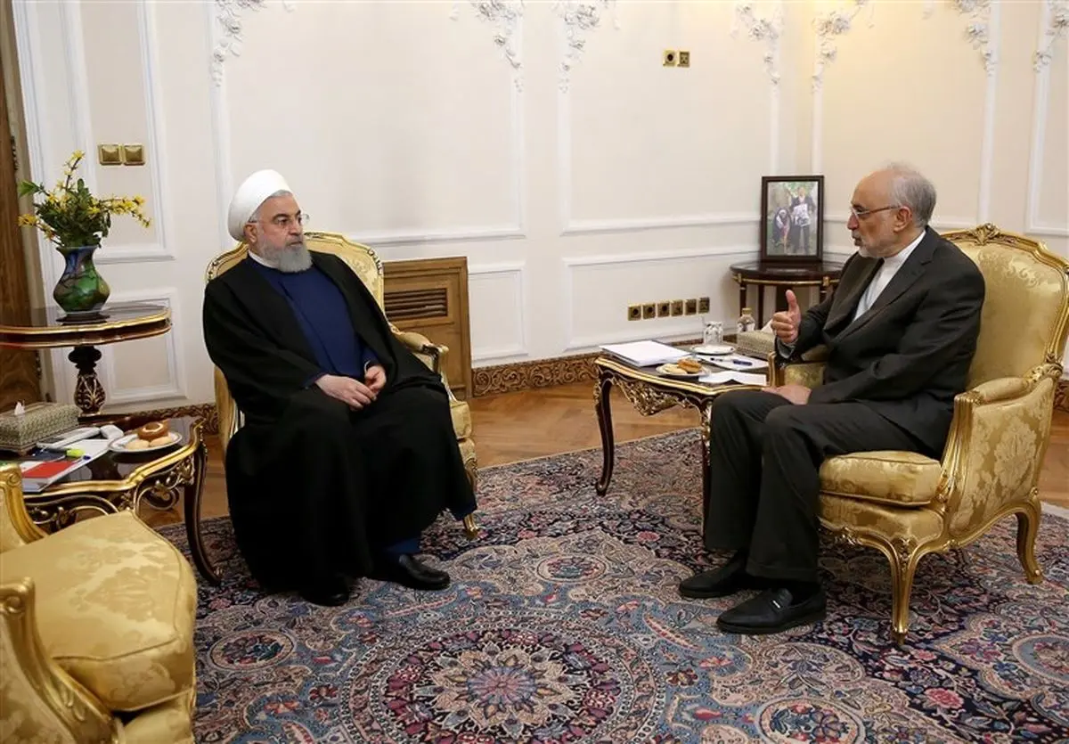 دیدار رئیس سازمان انرژی اتمی با روحانی