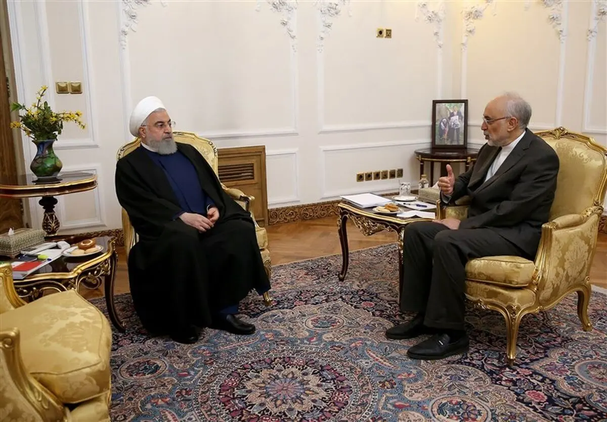 دیدار رئیس سازمان انرژی اتمی با روحانی