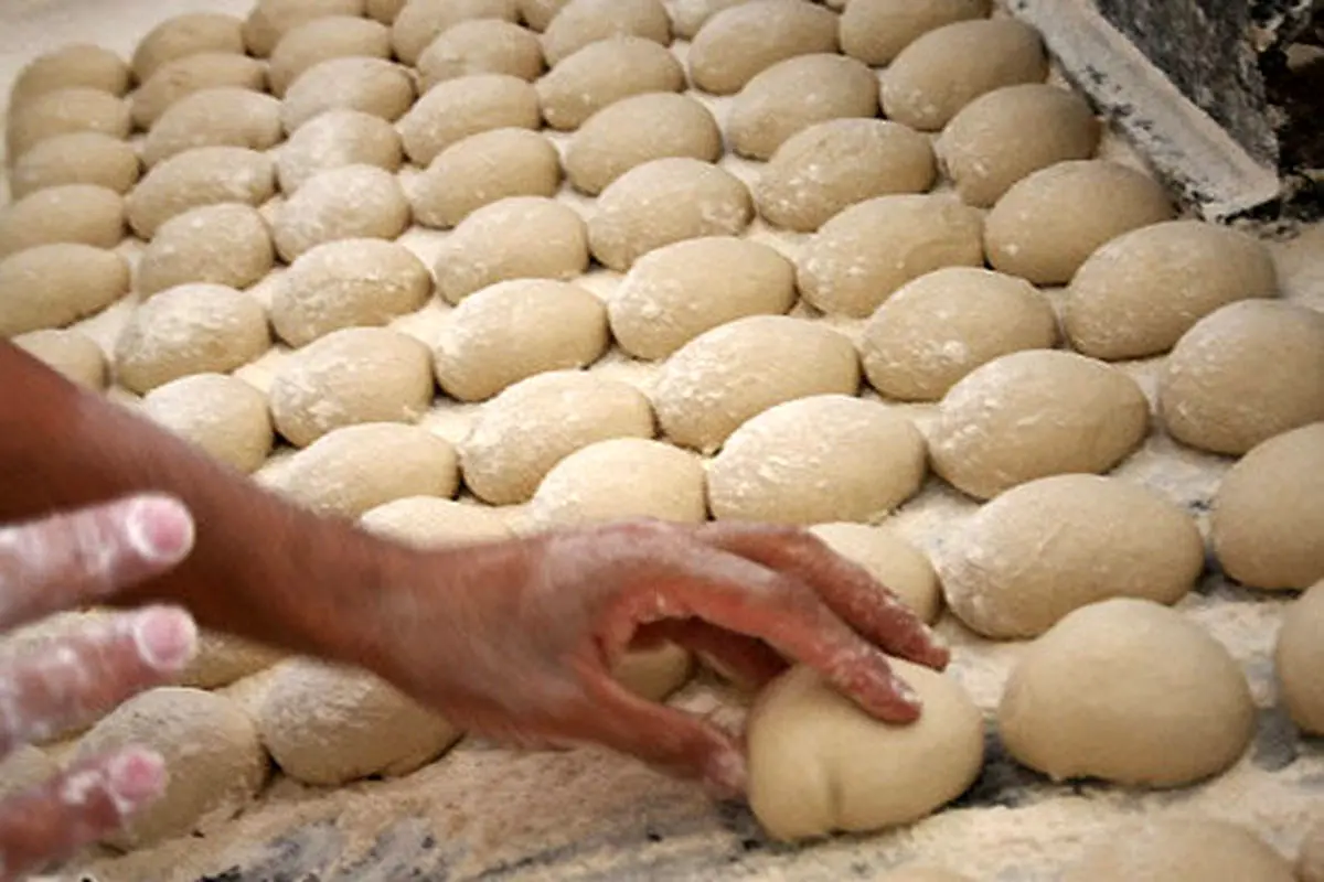 وقتی نانوایان خواستار واردات گندم هستند