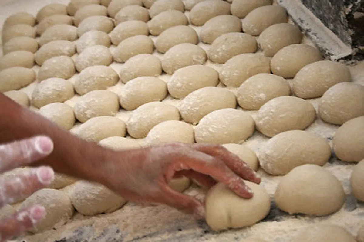 وقتی نانوایان خواستار واردات گندم هستند 