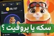 پروفیت در همستر چیست و چرا مهم‌تر ازتعداد سکه‌هاست؟