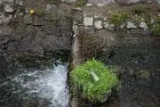  روز طبیعت در تهران/ گزارش تصویری