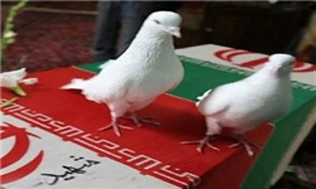 مادر شهیدان امیدی دارفانی را وداع گفت