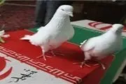 مادر شهیدان امیدی دارفانی را وداع گفت