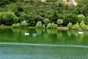 دریاچه لاک پشت تفلیس/ عکس