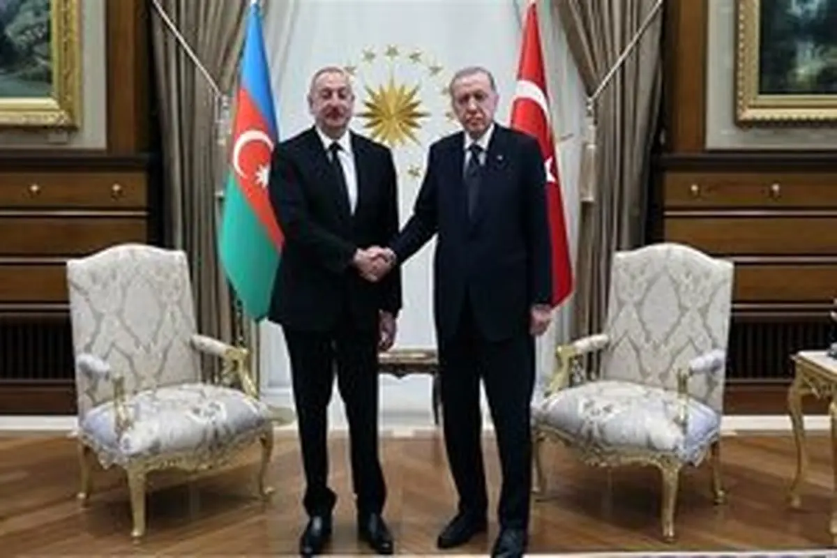 جزئیات دیدار اردوغان و علیاف