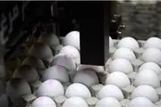 تنها راه حل کنترل بازار تخم مرغ