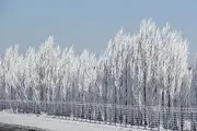 یخ زدن دکل فرستنده در بانه/ عکس