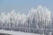 یخ‌بستن دریاچه در سرمای منفی ۵۰ درجه!/ عکس