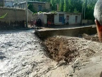 تخریب تأسیسات زیربنایی و خط انتقال آب دو روستا+ تصاویر
