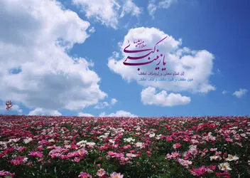 حضرت زینب(س)