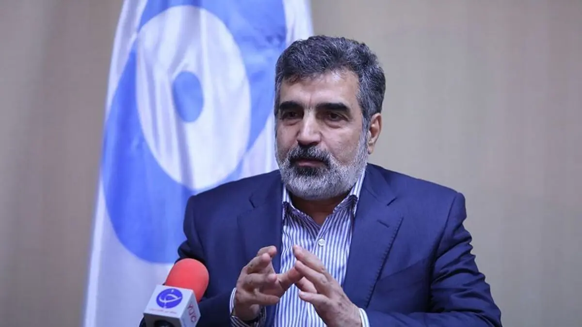 ورورد ۳۸ تن سوخت ۴.۵ درصدی مورد نیاز نیروگاه بوشهر به کشور