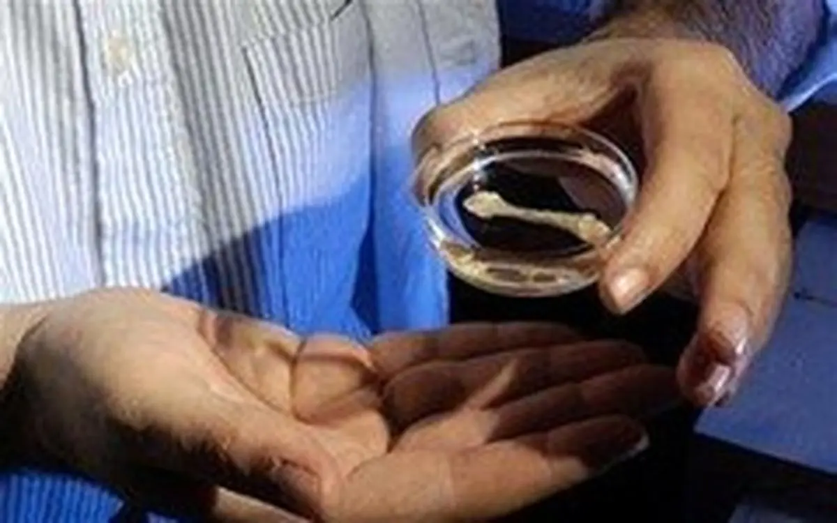 ساخت استخوان انسان باسلولهای چربی