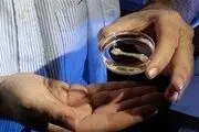 ساخت استخوان انسان باسلولهای چربی