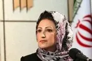 فرشته نوبخت: کتاب‌های ترجمه مد شده‌اند