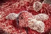 پروتئینی که ۱۰ هزار برابر بیشتر سلول‌های ضد سرطان تولید می‌کند
