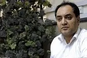 کارخانه‌های سیمان، شن و ماسه تعطیل شد