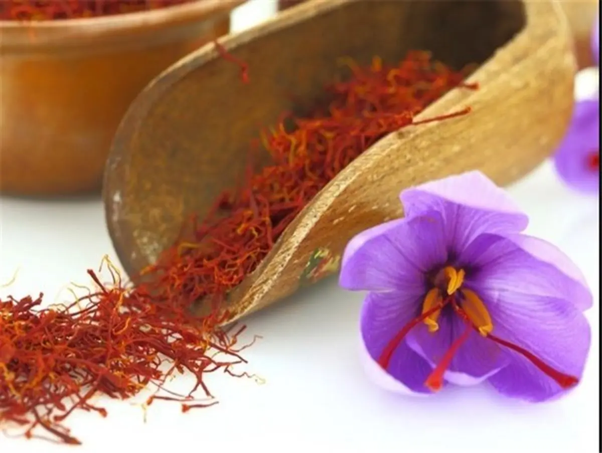 چالش صادرات طلای سرخ در آمارهای اشتباه گمرک