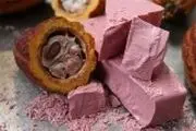 
اختراع طعمی جدید برای شکلات +عکس
