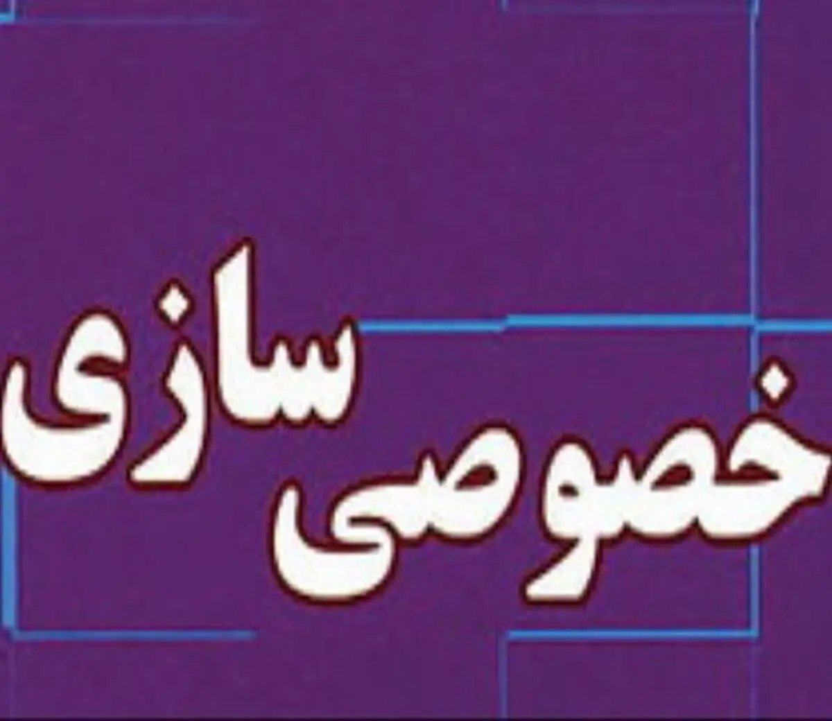 خصوصی سازی مخصوص خواص