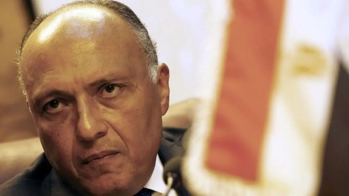 مصر، اردوغان را به ارتباط با اخوان المسلمین متهم کرد