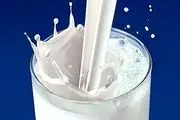 تولید شیر خام از مرز 10 میلیون تن فراتر می رود