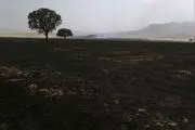 برداشت آتش از زمین های کوهدشت+تصاویر