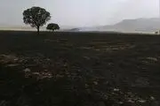 برداشت آتش از زمین های کوهدشت+تصاویر