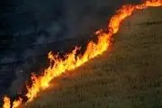 بیش از 220 هکتار از مراتع واراضی کشاورزی الیگودرز در آتش سوخت +تصویر