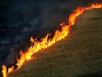 بیش از 220 هکتار از مراتع واراضی کشاورزی الیگودرز در آتش سوخت +تصویر