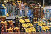 جدیدترین خبرها از قیمت میوه شب عید