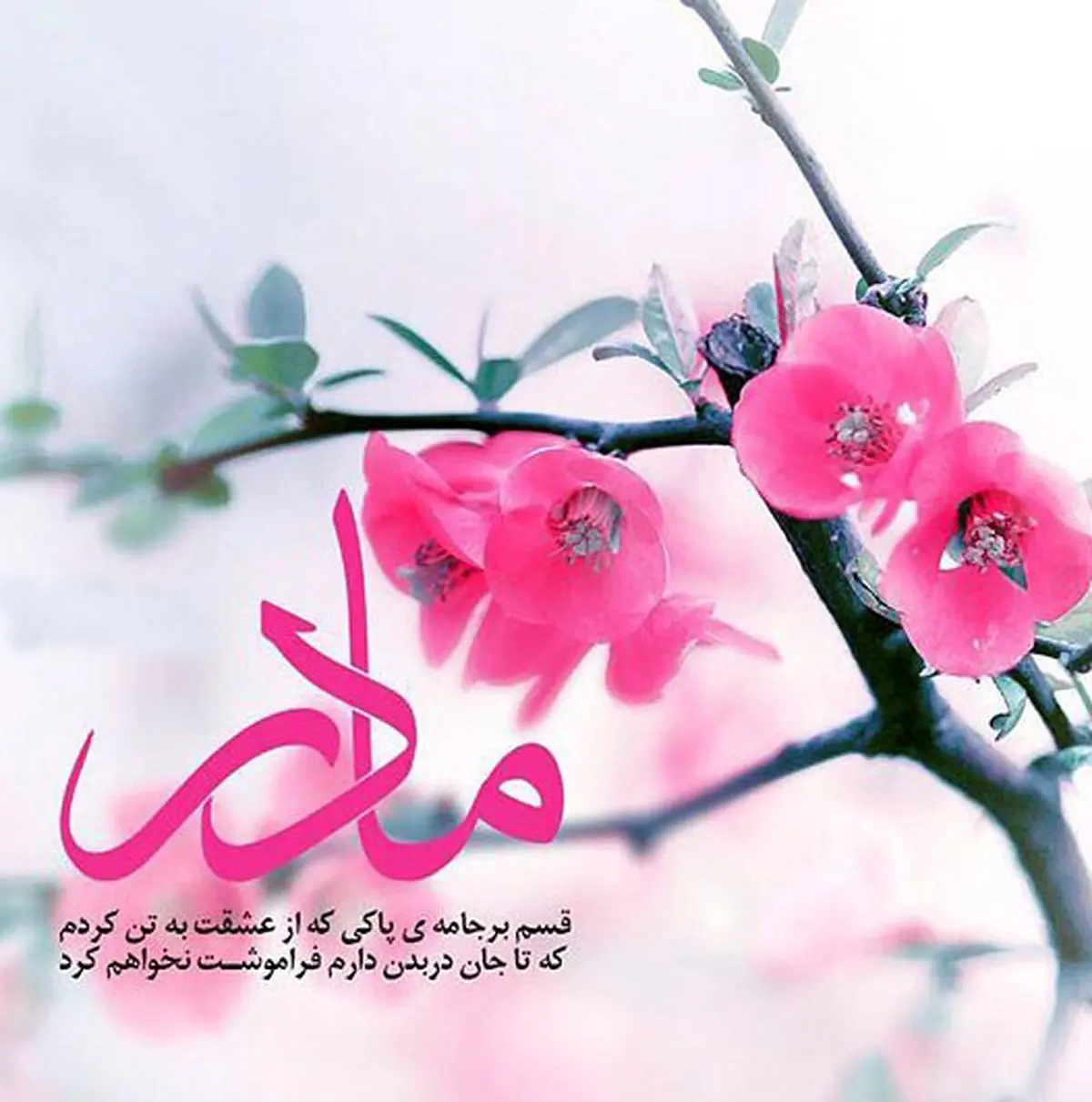 میلاد حضرت زهرا(س) و روز مادر مبارک+متن پیامک