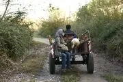 تازه ترین خبرها از 