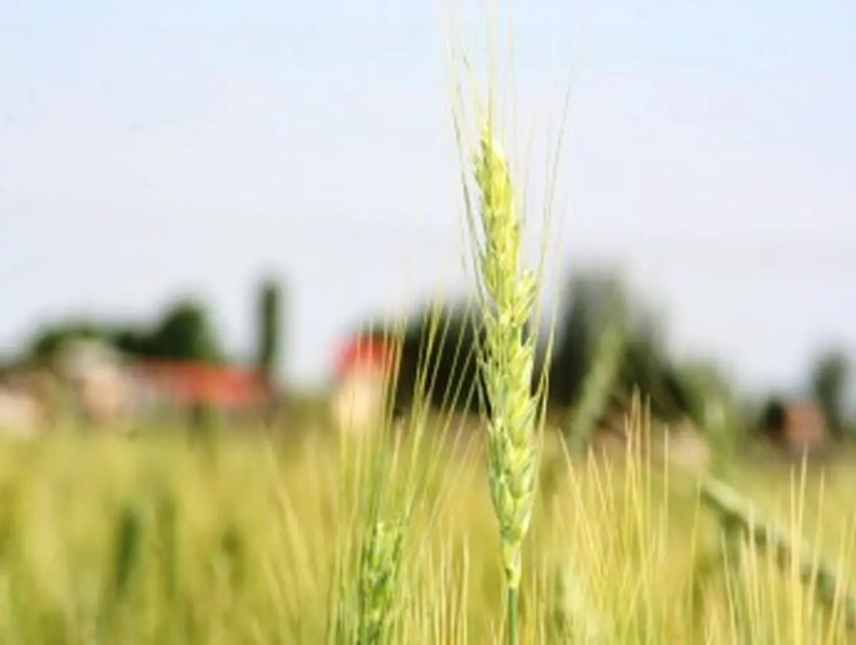 چگونه برکت را وارد زندگی خود کنیم؟