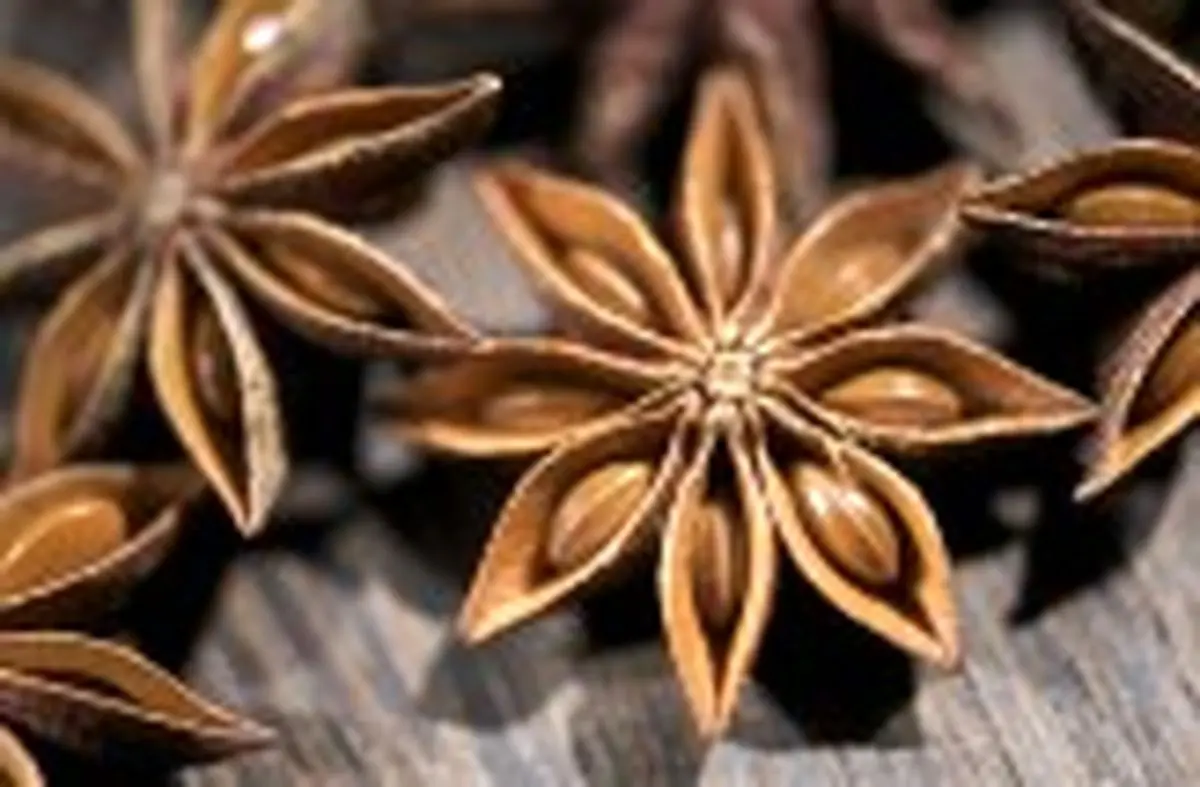 این مواد خوش عطر وطعم را جایگزین نمک کنید