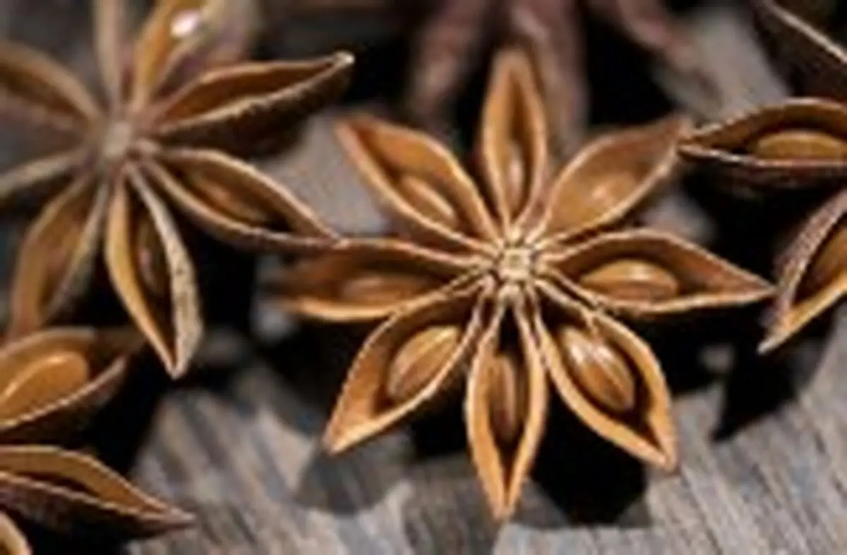 این مواد خوش عطر وطعم را جایگزین نمک کنید