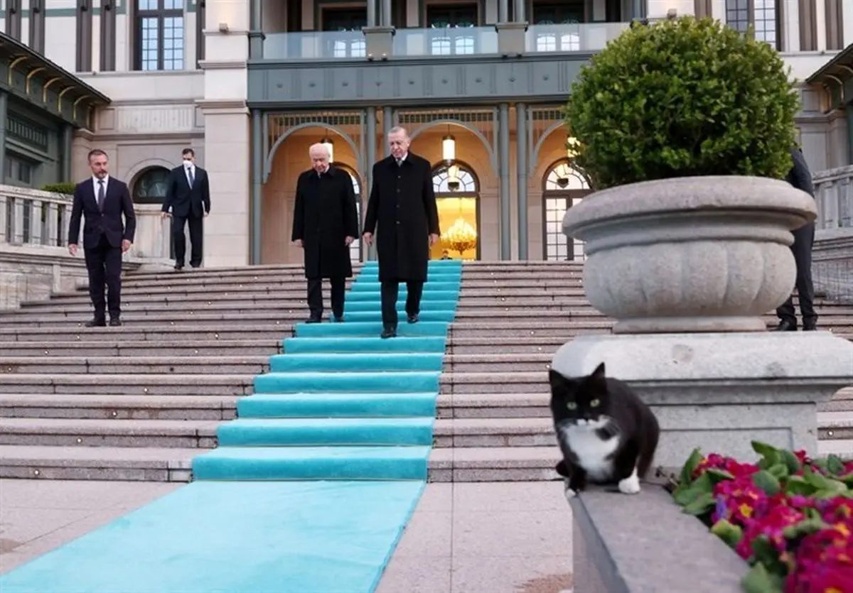 راهکار ترکیه برای فرار از بحران اقتصادی 