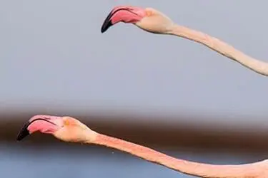 13951214001167636242323697724759_12383_PhotoU