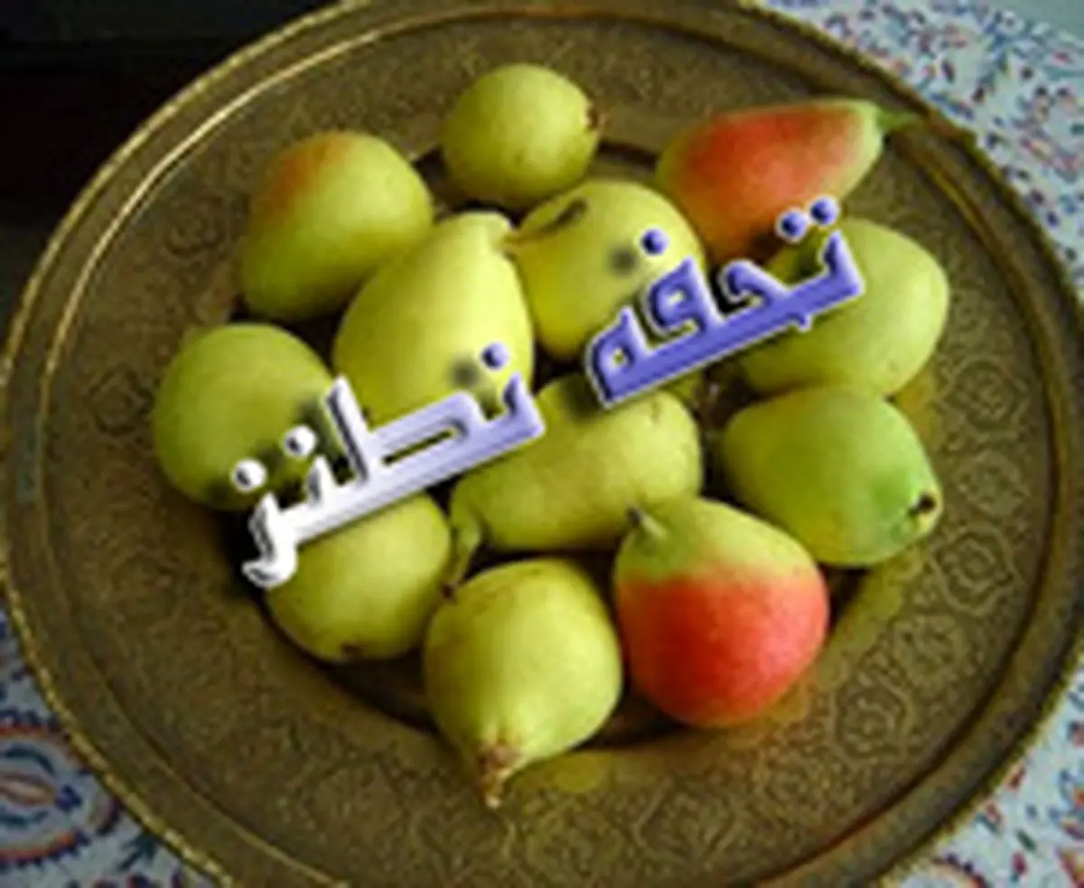 سوغاتی که ضربالمثل شد