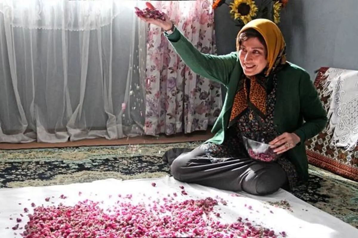 شکست مالی بزرگ برای سازندگان "ماجان"