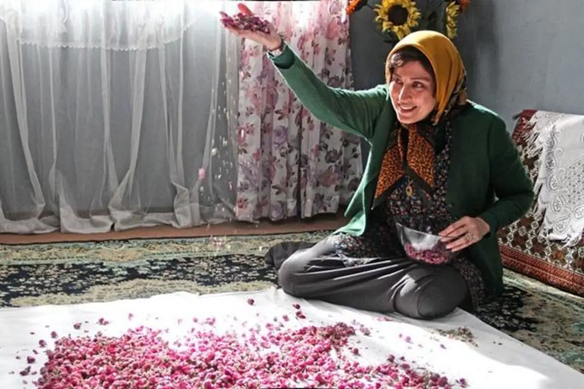شکست مالی بزرگ برای سازندگان "ماجان"