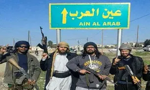 داعش نیرو و سلاح به کوبانی منتقل کرد
