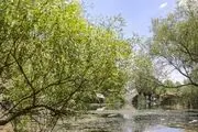 تصویری زیبا از تنگه کوه‌سر در تنکابن