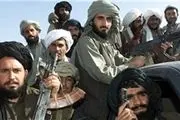 طالبان منطقه «میرزاولنگ» در شمال افغانستان را تصرف کرد