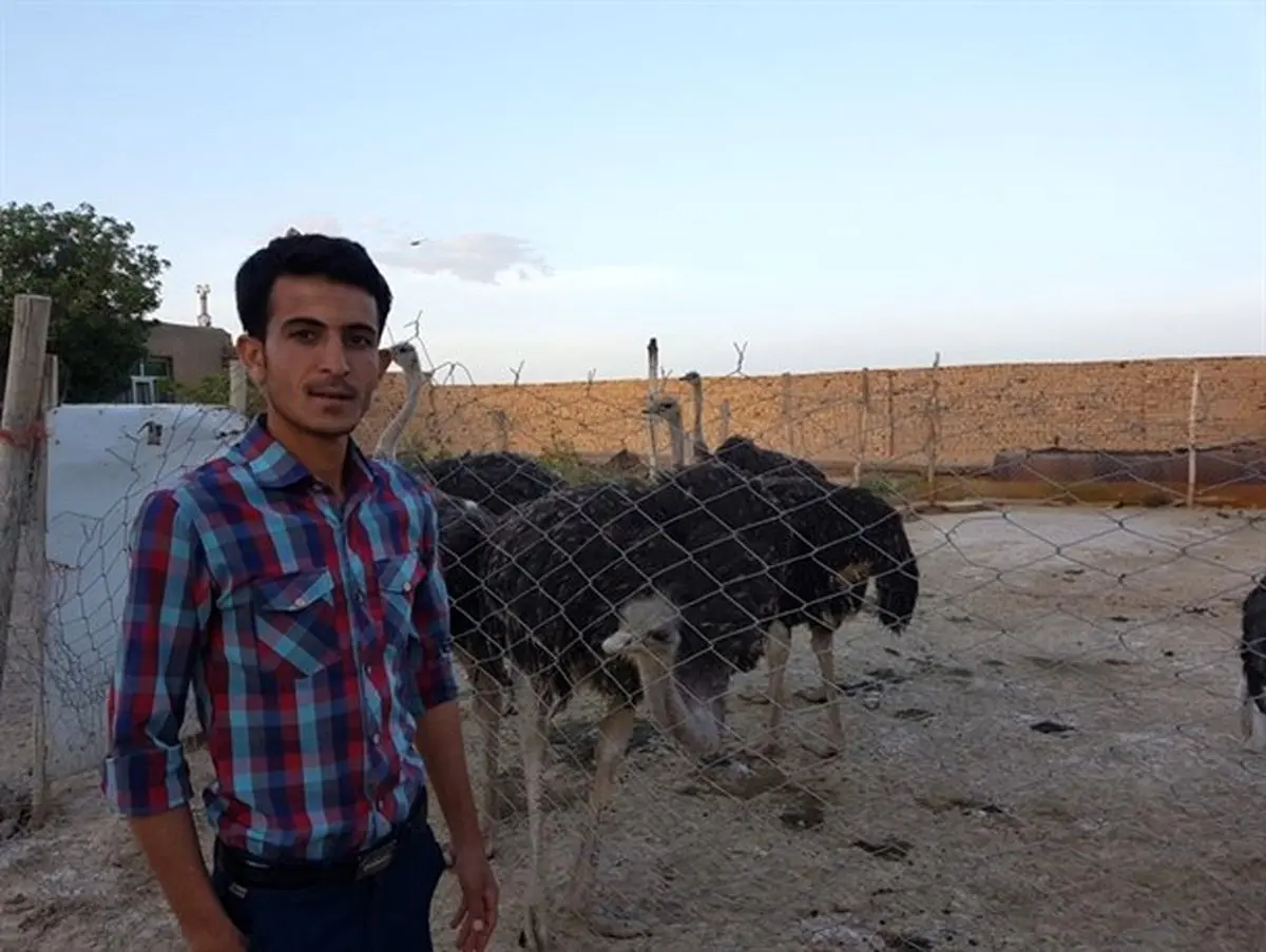 اقتصاد مقاومتی به سبک خانوادگی